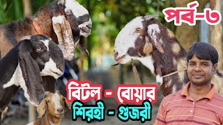 পর্ব৩। বিটল ছাগল। Beetal। Boer। বোয়ার ছাগল। শিরহী ও গুজরী ছাগলের হান্নান ভাই এর। Boer Goat [upl. by Eicart61]