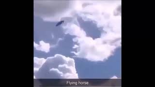 flying horse frightfullyinsane flanchans frightful song [upl. by Donahoe]