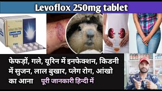 Levoflox 250mg tablets use dose benefits and Side effects full review [upl. by Fitzgerald]