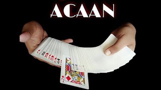 ACAAN FOOLER [upl. by Palma]