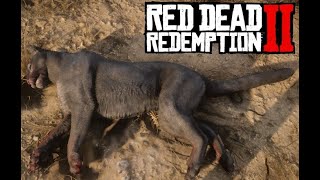 COMO CAZAR PUMAS Y DÓNDE ENCONTRARLOS Desafio 6 MAESTRO CAZADOR RED DEAD REDEMPTION 2 [upl. by Nrehtak]