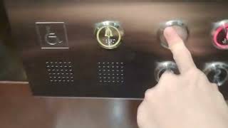 Ascott Hotel  KONE Elevator [upl. by Delbert]