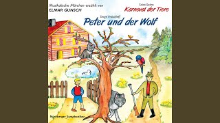 Peter and the Wolf  Peter theme [upl. by Ardnuyek]