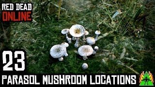 Red Dead Redemption 2 ONLINE  PARASOL MUSHROOM LOCATIONS [upl. by Orodoet632]