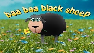 Baa Baa Black Sheep Song  The classic nursery rhyme [upl. by Lachman]