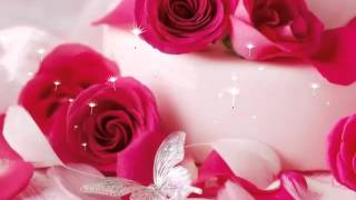 Most Beautiful Flowers Wallpaper [upl. by Arondell]