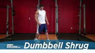 Dumbbell Shrug  Shoulder Exercise  Bodybuildingcom [upl. by Trebleda]