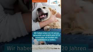 Spondylose beim Hund behandeln  DOG FIT by PreThis® [upl. by Neff]