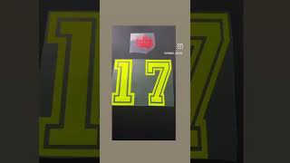 Sportflex Ironon basketball jersey ontario cricut [upl. by Yartnod]