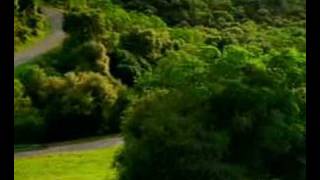 Car driving winding road [upl. by Harley]