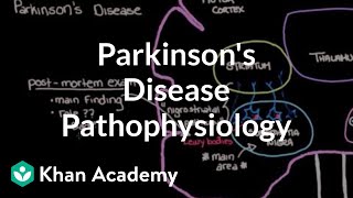 Putting it all together  Pathophysiology of Parkinsons disease  NCLEXRN  Khan Academy [upl. by Eruza]