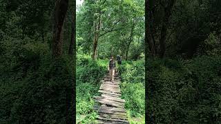 Adventure Of Chitwan National Park Nepal Nature Walk In Wildlife Zone  Exploring Flora And Fauna [upl. by Bea]