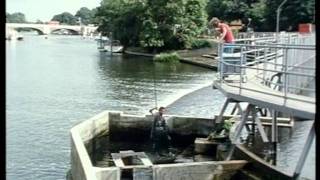 Thames Water Thames Salmon Rehabilitation Scheme [upl. by Sadirah424]