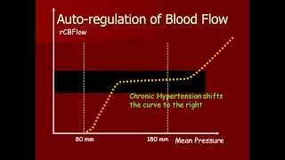 Autoregulation of Cerebral Blood [upl. by Enneira]