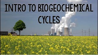 A Brief Overview of Biogeochemical Cycles [upl. by Assenaj487]