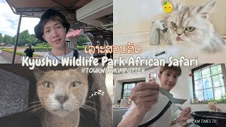 📍🌿 Kyushu Wildlife Park African Safari with tourwithkimpotter [upl. by Nosnevets]