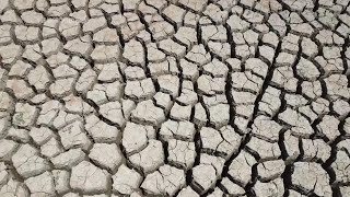 Sicilians deal so well with drought that tourists don’t notice a record dry year could alter that [upl. by Aikkin124]