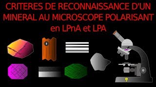 Minéraux en LPnA vs LPA critères de reconnaissance SVT Hervé Kempf lycée de lElorn [upl. by Anawit]