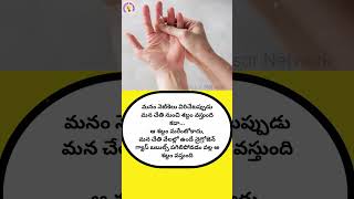 Finger bones Fact23 telugushorts intrestingfacts unknownfacts professornetwork youtubeshorts [upl. by Racklin655]