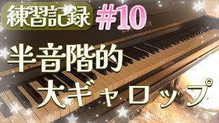 （練習記録10）半音階的大ギャロップリスト【Liszt Grand galop chromatique】 [upl. by Basil]