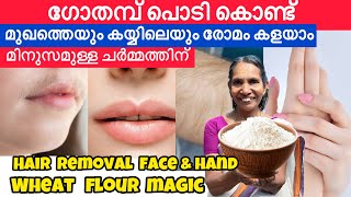 ഗോതമ്പ് പൊടി കൊണ്ട് മുഖത്തെയും കയ്യിലെയും രോമം കളയാം മിനുസമുള്ള മുഖമാവും ഞെട്ടിക്കുന്ന മാറ്റം തന്നെ [upl. by Ailiec]