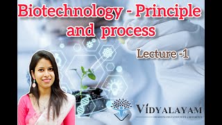 Vectors  Plasmid  Biotechnology  Principle and Processes  NEET  CBSE [upl. by Aikkin]