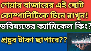 শেয়ারবাজারের এই স্মলক্যাপ কোম্পানিকে নজরে রাখুন ভবিষ্যতে ধরতে পারবেন না হাই রিস্ক হাই রিটার্ন [upl. by Ssew]