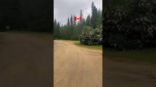 greenery of Canada 🇨🇦 fishing greenery canada shorts [upl. by Arahas]