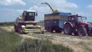 Silage cutting in limerick with sheltons contractors limited [upl. by Atiuqrahc]