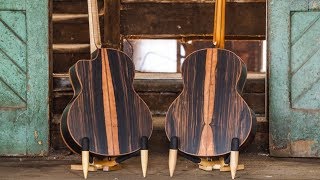 Introducing Macassar Ebony I Lowden Guitars [upl. by Gereron]