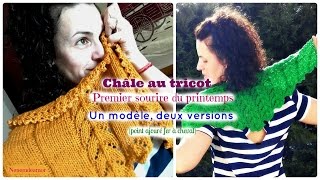 Tricot le Châle quotPremier sourire du printempsquot  un modèle deux versions [upl. by Filide]