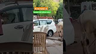 Collector entry at my house 🏡2 k viral videos motivational viralstar [upl. by Hnib]