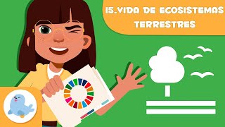 Vida de los ecosistemas terrestres 🌳 ODS 15 🐻 Objetivos de desarrollo sostenible para niños [upl. by Ultan]