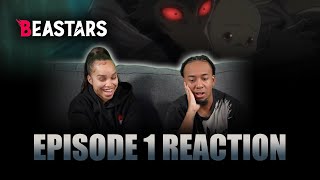 TENSION OF BEAR  Beastars S2 E9 REACTION  Zamber Reacts [upl. by Atikihc]