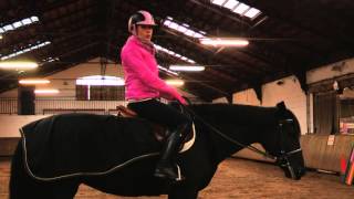 Conseils pour le cavalier et le cheval en cas de froid  Equidia Life [upl. by Nerty]