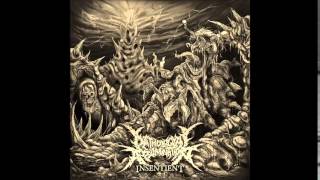 Pathological Abomination – Insentient Full Album 2014 [upl. by Schwerin]