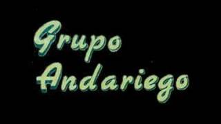 Grupo Andariego  Enamorado De Ti [upl. by Fisa]