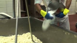 Cow to Cracker Making Cheese at the University of Minnesota [upl. by Ginevra]