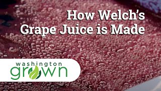 How Welchs Grape Juice Is Made  Washington Grown [upl. by Anidam]