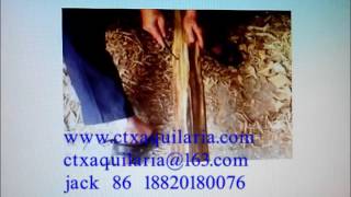 Chinese Hainan natural aloeswood eaglewood aquilaria agallocha oud wood agarwood processing www c [upl. by Threlkeld]