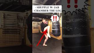 How To Do KEMPO Groin Kick in a FIGHT Shorts [upl. by Pharaoh]