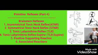 Primitive Reflexes  Part  4  Brainstem Reflexes [upl. by Ivah554]