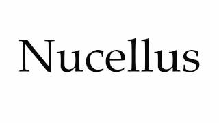 How to Pronounce Nucellus [upl. by Aivatahs]