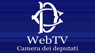 webtvcamerait  ​Commissione parlamentare salute e sicurezza Audizione De Falco  25092024 [upl. by Koosis]