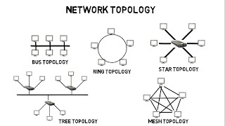 NETWORK TOPOLOGY IN COMPUTER NETWORKS IN HINDI [upl. by Grissom]