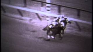 Secretariat  1972 Allowance Win [upl. by Past]