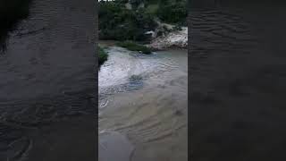 জলের পথিক waterlife nature sylhet bangladesh waterfall [upl. by Spencer]