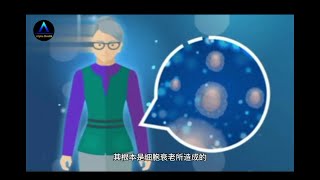 干细胞抗衰老的底层科学原理  The mechanism of stem cells antiaging [upl. by Natalie687]