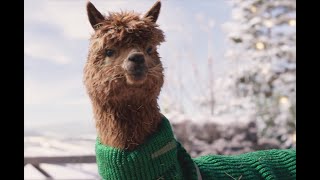 A Festive Farm – TK Maxx Christmas Ad 2023 [upl. by Gudrun384]