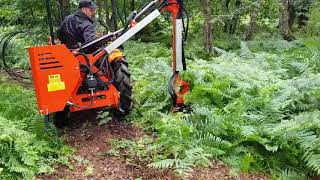 Cutting Bracken  FarmMaster Compact Tractor Hedge Cutter 25m reach  Tractor Hedge Cutters For S [upl. by Manup]